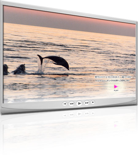 �V���C�N���E�C���J�E�H�b�`���O�Z���^�[��
