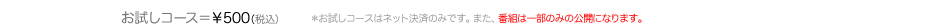 お試しコース500円（お試しコースはネット決済のみご利用可能です）