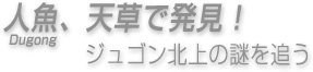 人魚（ジュゴン）、天草で発見！ジュゴン北上の謎を追う