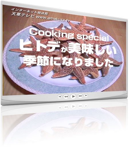 ヒトデ
